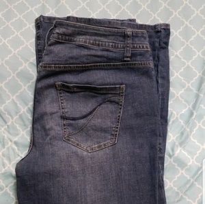 Lane Bryant Bootcut Jeans